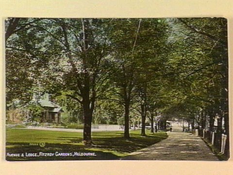 AVENUE & LODGE, FITZROY GARDENS, MELBOURNE, c. 1910
