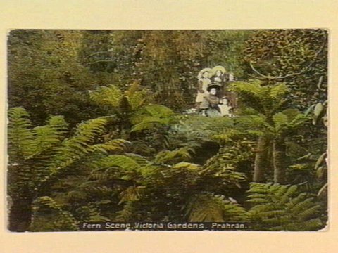 Fern Scene, Victoria Gardens, Prahran, c. 1907
