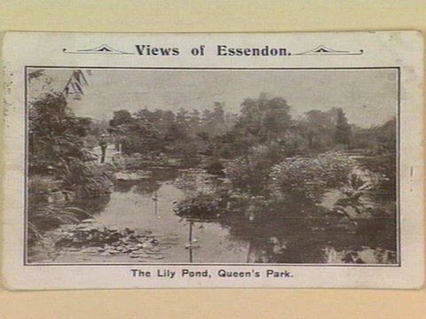 The Lily Pond, Queen's Park. Views of Essendon, c. 1906