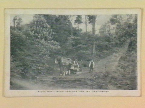 RIDGE ROAD, NEAR OBSERVATORY, Mt. DANDENONG, 1905–14