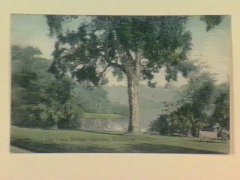 The Lake, Botanic Gardens, Melbourne, 1905–14