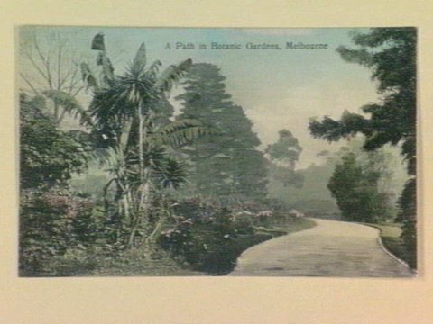 A Path in Botanic Gardens, Melbourne, 1905–14