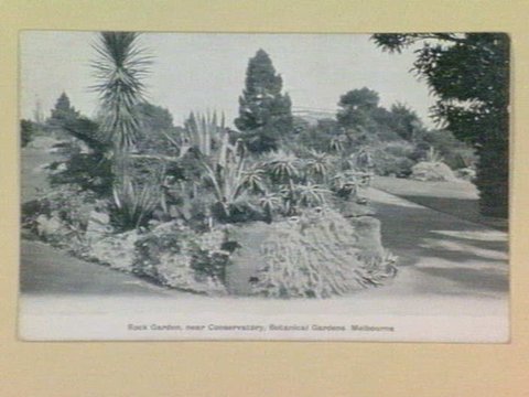 Rock Garden, near Conservatory, Botanical Gardens Melbourne, 1905–14