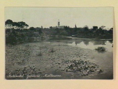 Botanical Gardens. Melbourne, 1905–14