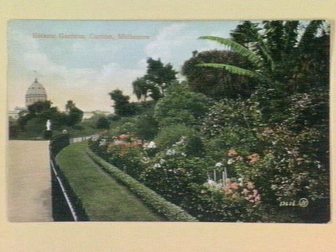 Botanic Gardens, Carlton, Melbourne, c. 1906