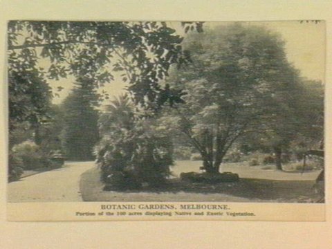 BOTANIC GARDENS, MELBOURNE. Portion of the 100 acres displaying Native and Exotic Vegetation, 1905–14