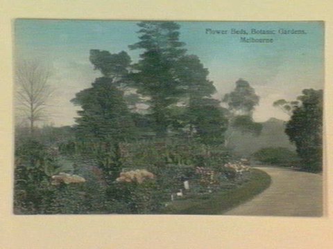 Flower Beds, Botanic Gardens, Melbourne, 1903–14