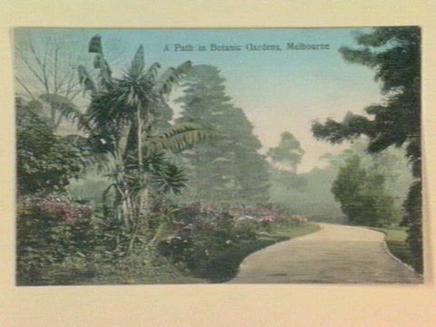 A Path in Botanic Gardens, Melbourne, 1903–14