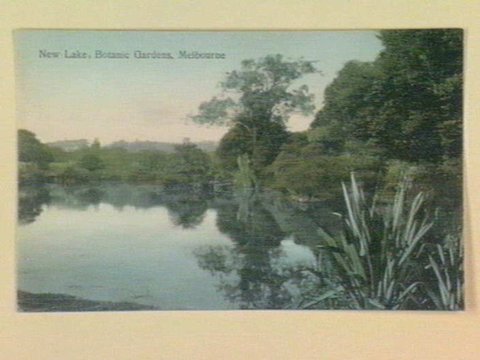 New Lake, Botanic Gardens, Melbourne, 1903–14