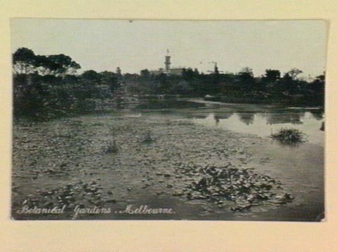 Botanical Gardens. Melbourne, 1905–14