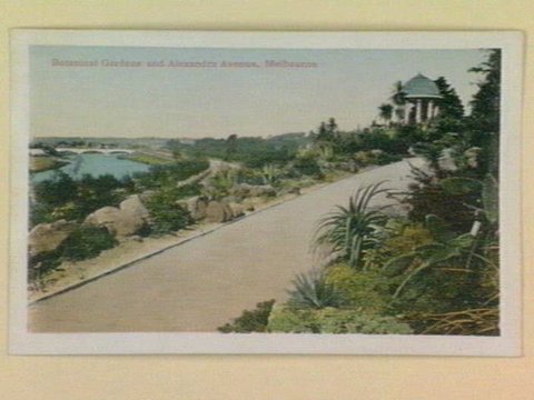 Botanical Gardens and Alexandra Avenue, Melbourne, 1903–14