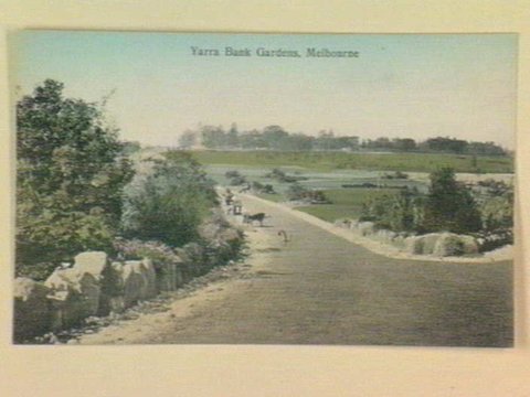 Yarra Bank Gardens, Melbourne, 1903–14