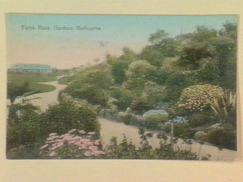 Yarra Bank Gardens Melbourne, 1903–14
