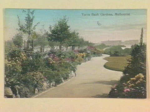 Yarra Bank Gardens, Melbourne, 1903–14