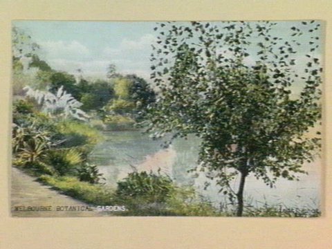 MELBOURNE BOTANICAL GARDENS, 1905–14