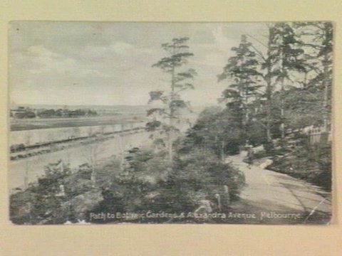 Path to Botanic Gardens & Alexandra Avenue. Melbourne, c. 1908