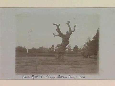 Burke & Wills' 1st. Camp. Moonee Ponds, 1860