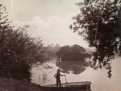 Man in a row boat on the lake at the Royal Botanic Gardens, Melbourne, 1900–20