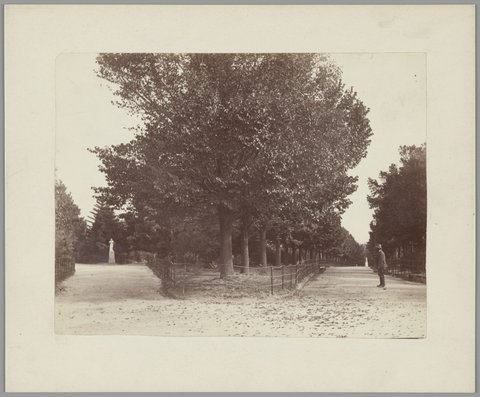 View down diverging pathways in the Fitzroy Gardens, Melbourne, 1865–95
