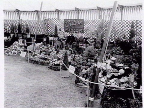 Garden Show, 1940 showing display by Carters seeds, Murrumbeena, c. 1940