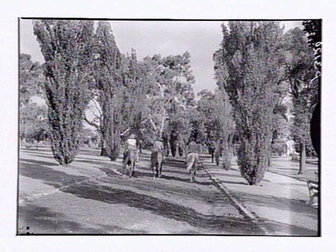 Riders on the Tan Melbourne, 1948