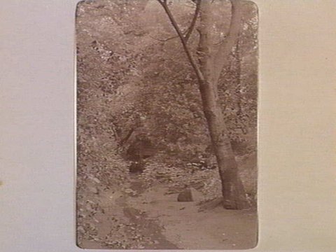 FITZROY GARD.[i.e. Fitzroy Gardens.], 1890–1910