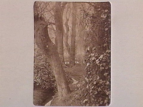 FITZROY GARDENS [Melb.], 1890–1910