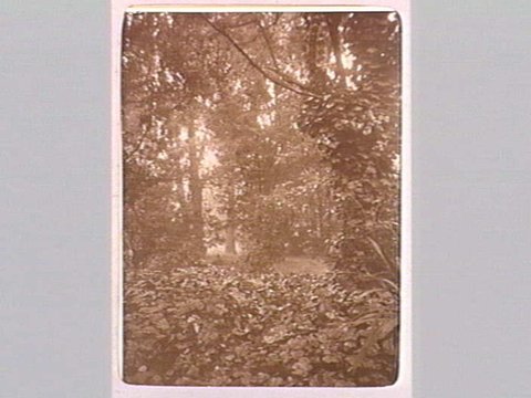 FITZROY GARDENS, 1890–1910