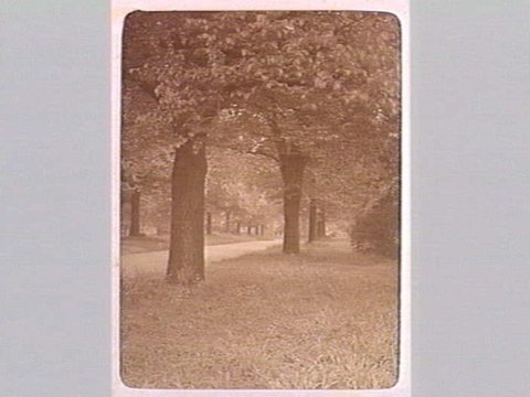FITZROY GARDENS, 1890–1910