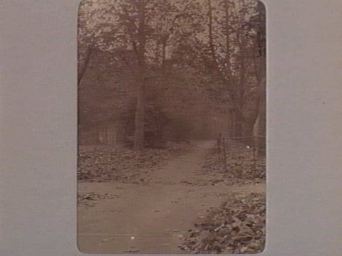 FITZROY GARDENS [Tree lined path in autumn.], 1890–1910