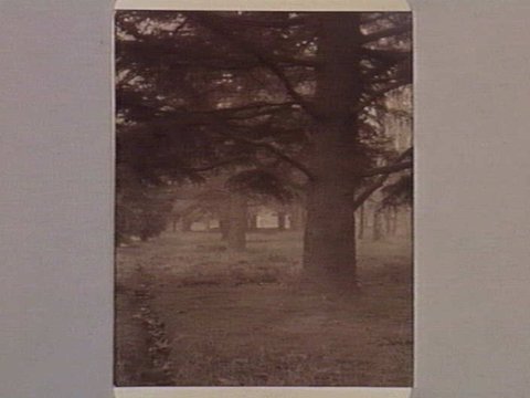 FITZROY GARDENS, 1890–1910