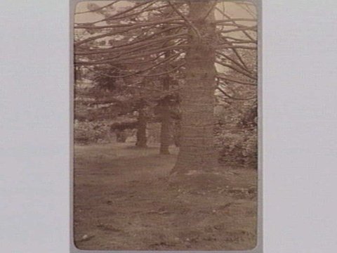 FITZROY GARDENS, 1890–1910