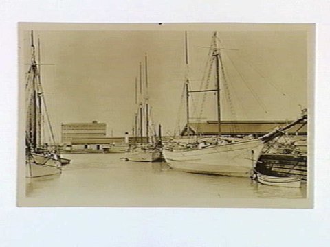 "Little Dock" at the foot of Spencer Street South, which is about to be filled in on account of the new Bridge construction, c. 1929