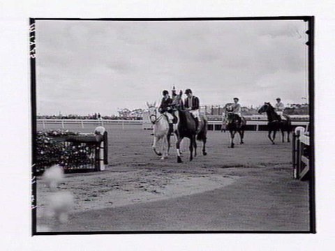 Racehorses and jockeys at Flemington Racecourse, Melbourne Cup Day, 1949