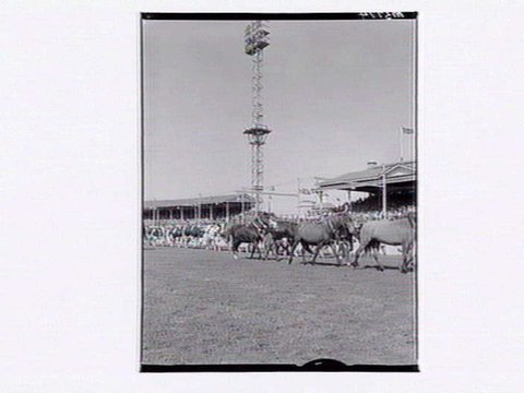 Grand Parade, Royal Melbourne Show, c. 1946