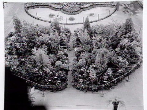 Display by Hodgins Nurseries, Essendon, at garden show, 1947