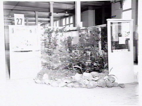 Stand no. 27, Kemp, Sheehan & Paynting Pty. Ltd., plumbing suppliers display, possibly at Exhibition Buildings, Melbourne, c. 1954