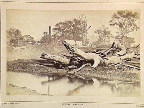 Bush Saw Mills, On the Wimmera, 186 Miles N.W. from Melbourne, 1870–80
