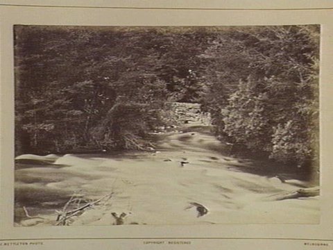Fernshaw. Jefferson's Fall. 46 Miles N.E. from Melbourne, 1870–80