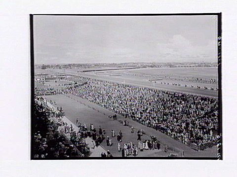 Bird's-eye view of Flemington Racecourse, showing mounting yard in foreground, Melbourne Cup Day, 1949
