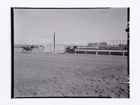Horserace on Melbourne Cup Day at Flemington Racecourse, 1949