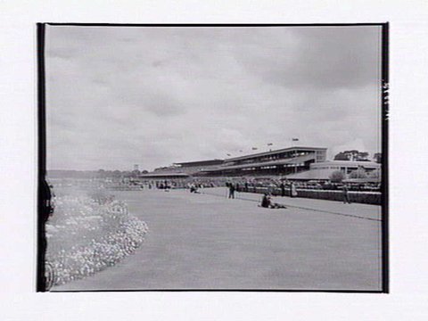 Horses being led onto racetrack, Flemington Racecourse, 1943–49