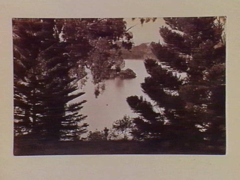 Elevated view of lake, Botanical Gardens, Melbourne, c. 1890