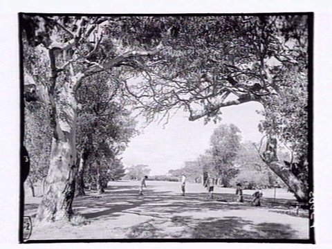 Rossdale Golf Links, Aspendale, 1952