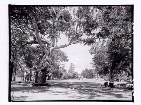 Rossdale Golf Links, Aspendale, 1952