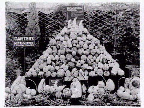 W.C. Carter of Murrumbeena displays for Garden Week 1941