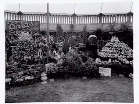 W.C. Carter of Murrumbeena displays for Garden Week 1941