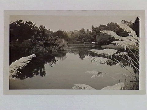 View across the lake at the Royal Botanic Gardens, Melbourne, 1932