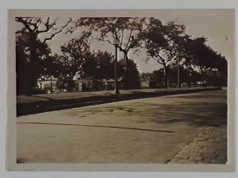 View along St. Kilda Road, 1929