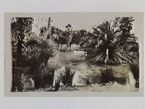 Lake at the Royal Zoological Gardens, Melbourne, 1932
